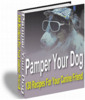 Thumbnail Pamper Your Dog
