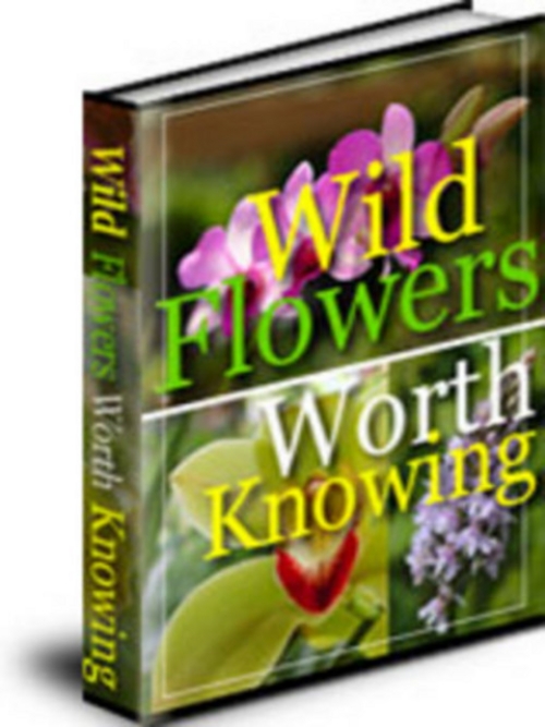 Product picture Wild Flowers