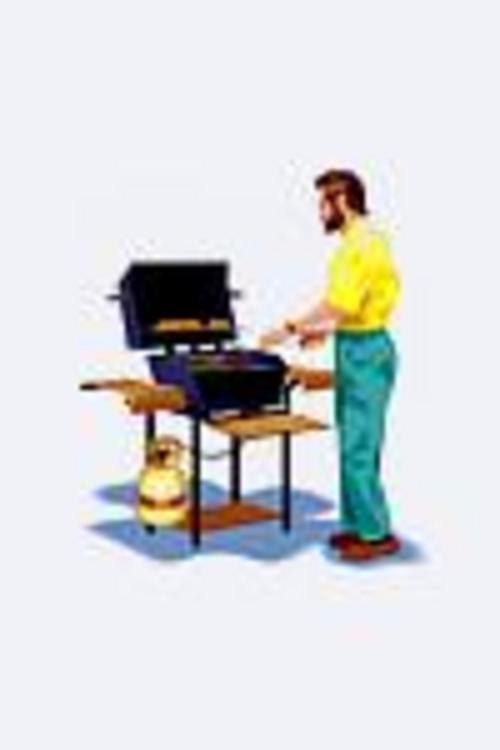 Product picture 300 Recipes For The Grill - Getting Your Grill On!