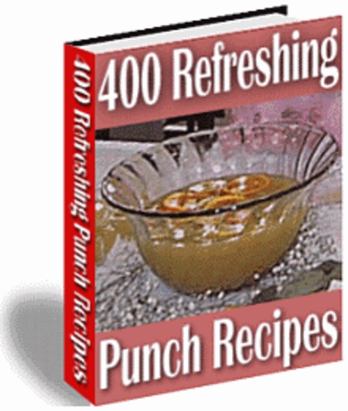 Product picture Punch Recipes