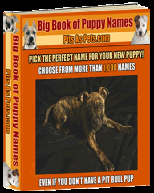 Product picture puppy names
